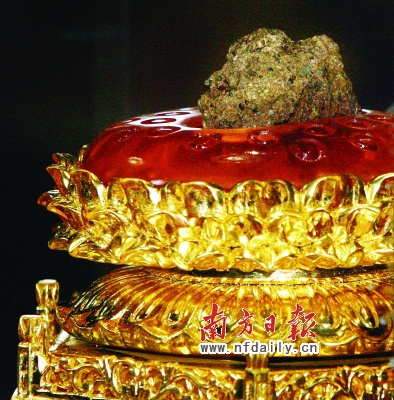 亚冠:鲁能2:2鹿岛鹿角,费莱尼蒿俊闵如何共存成为李霄鹏的难题:米乐M6(图1) 米乐M6