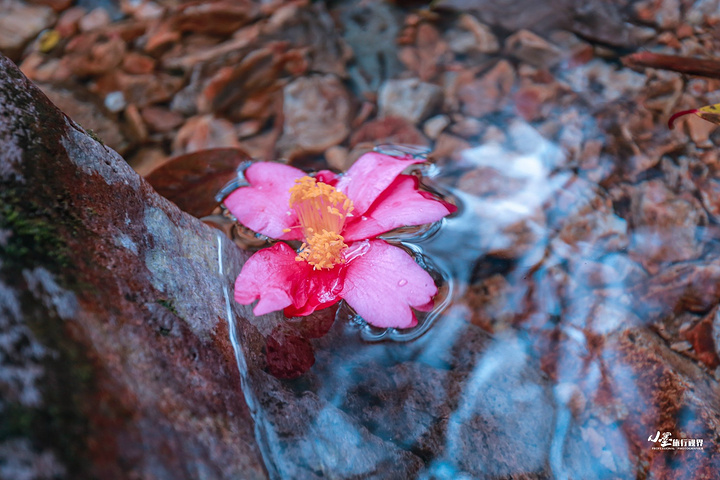 米乐M6官方入口