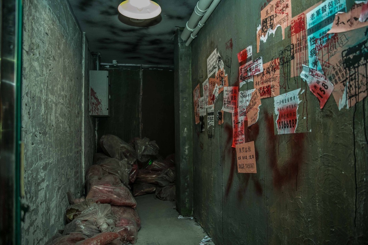 女排亚锦赛中国3-0横扫澳大利亚 小组第二进八强_m6最新官网(图1) 米乐M6官方入口