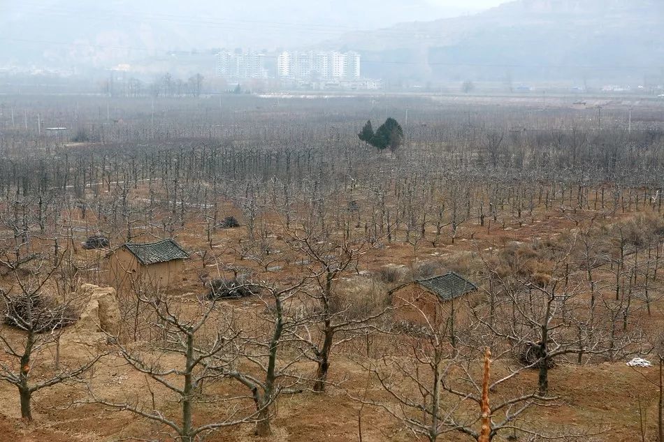 史诗逆转神迹!NFL爱国者25分逆转猎鹰加时夺冠比赛集锦|m6最新官网(图2) 米乐M6