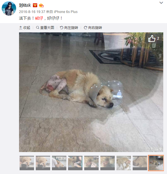 史诗逆转神迹!NFL爱国者25分逆转猎鹰加时夺冠比赛集锦|m6最新官网(图1) m6最新官网