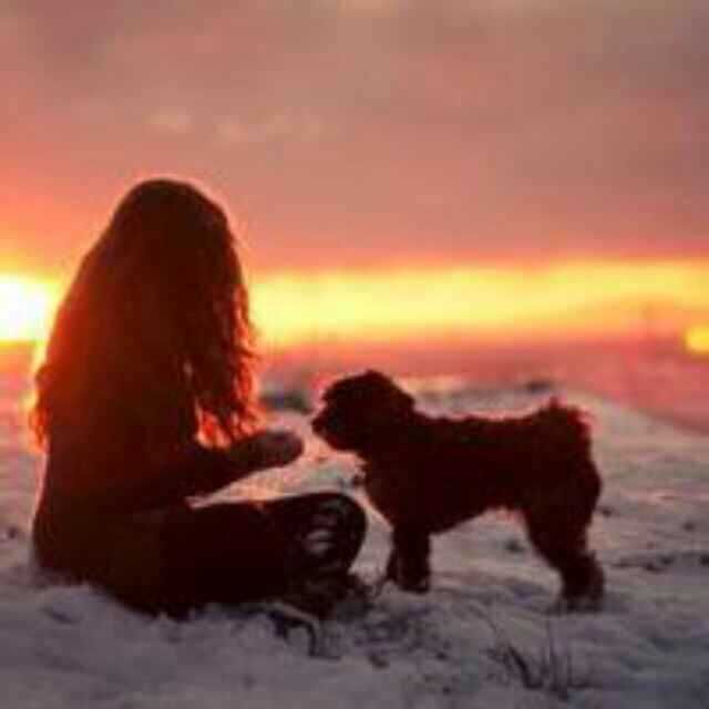 米乐M6官方入口