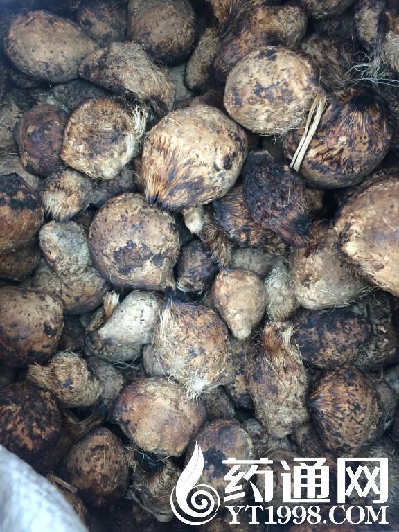 哥伦乙(附): 利昂内斯 VS 巴瑞库拉终场小球比分0:1“m6最新官网”(图4) m6最新官网