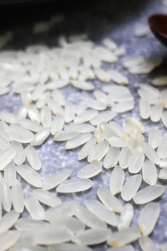 
6.8折！乐清新体育馆这家简餐店居然用这样的米做饭！|米乐M6官方入口(图9)