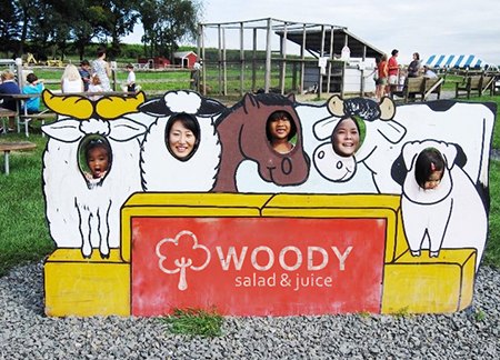 米乐M6官方入口