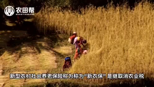 米乐M6|越南联: 黄安嘉莱不敌广南FC 终场比分2:3(图1) m6最新官网