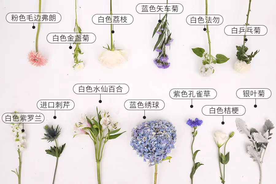 ‘m6最新官网’女排大奖赛中国队首战巴西 “三核”齐聚新人涌现(图1) 米乐M6