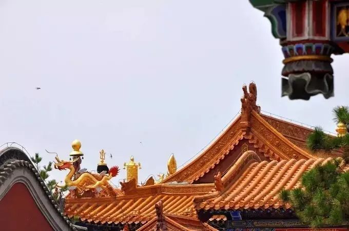 “即时配”大势已起!传统快递该如何应对?【米乐M6】(图1) m6最新官网