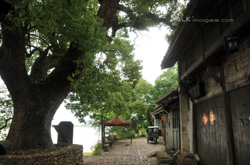 “即时配”大势已起!传统快递该如何应对?【米乐M6】(图3) m6最新官网