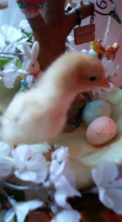 米乐M6官方入口