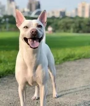 米乐M6官方入口